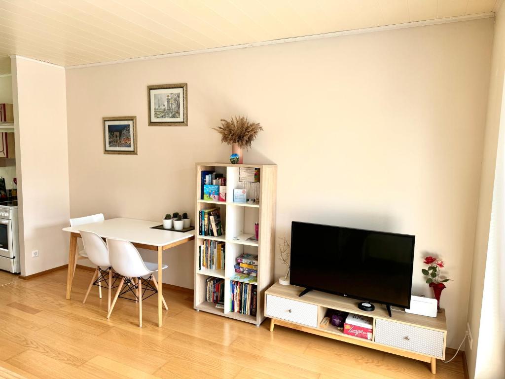 TV a/nebo společenská místnost v ubytování Maria Rooms