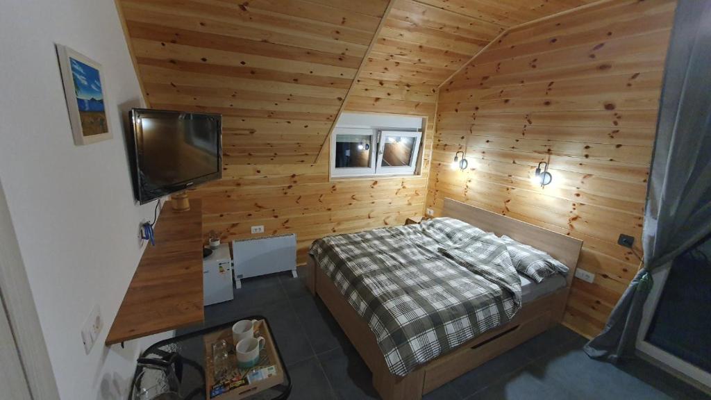 TV a/nebo společenská místnost v ubytování VIP Durmitor