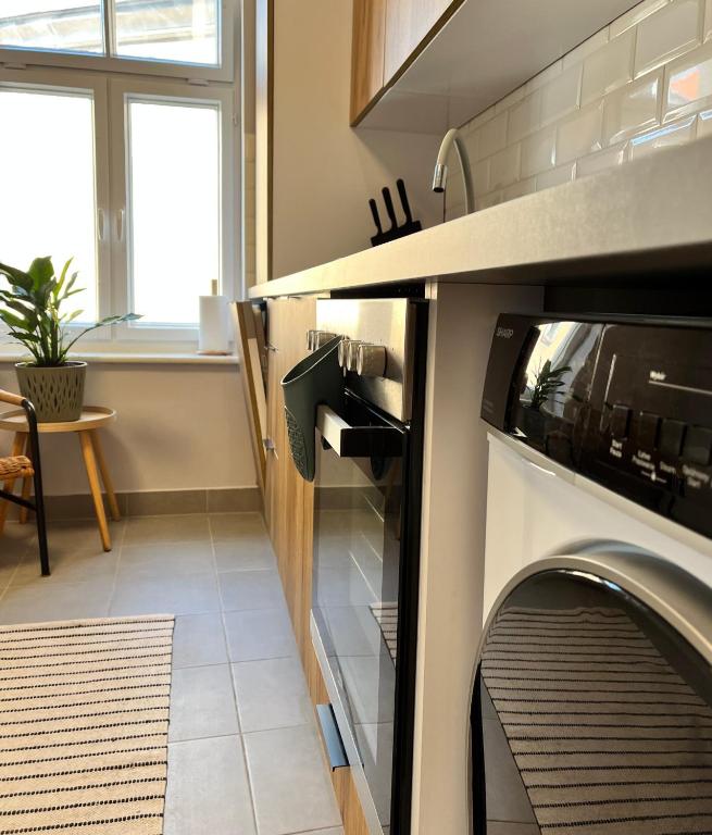 Kuchyň nebo kuchyňský kout v ubytování Apartament Sudeckie Boho