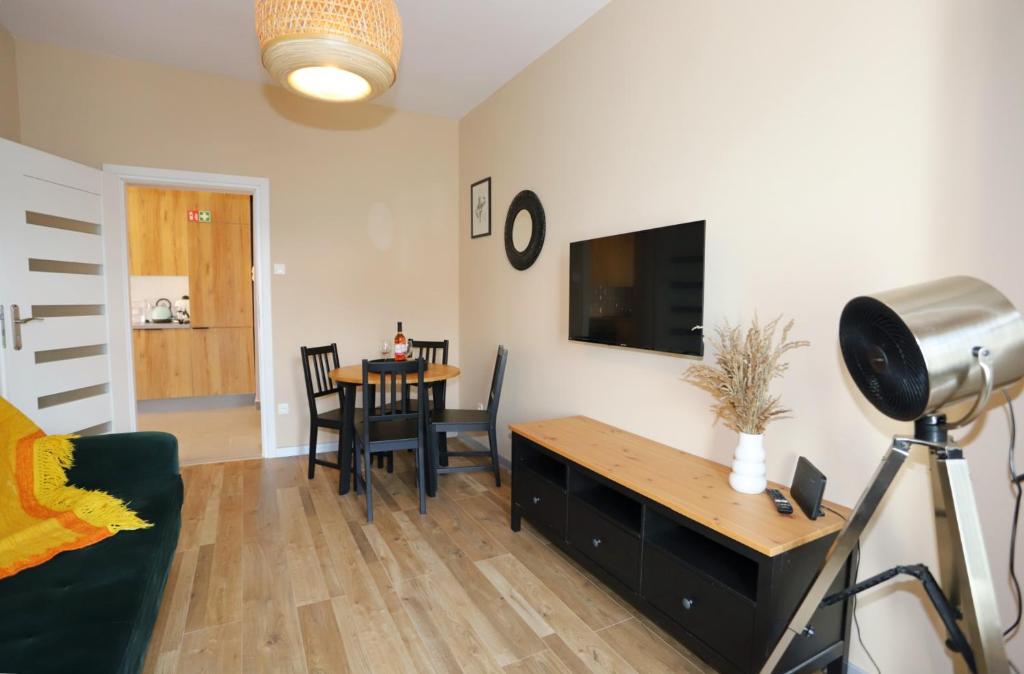 TV a/nebo společenská místnost v ubytování Apartament Sudeckie Boho