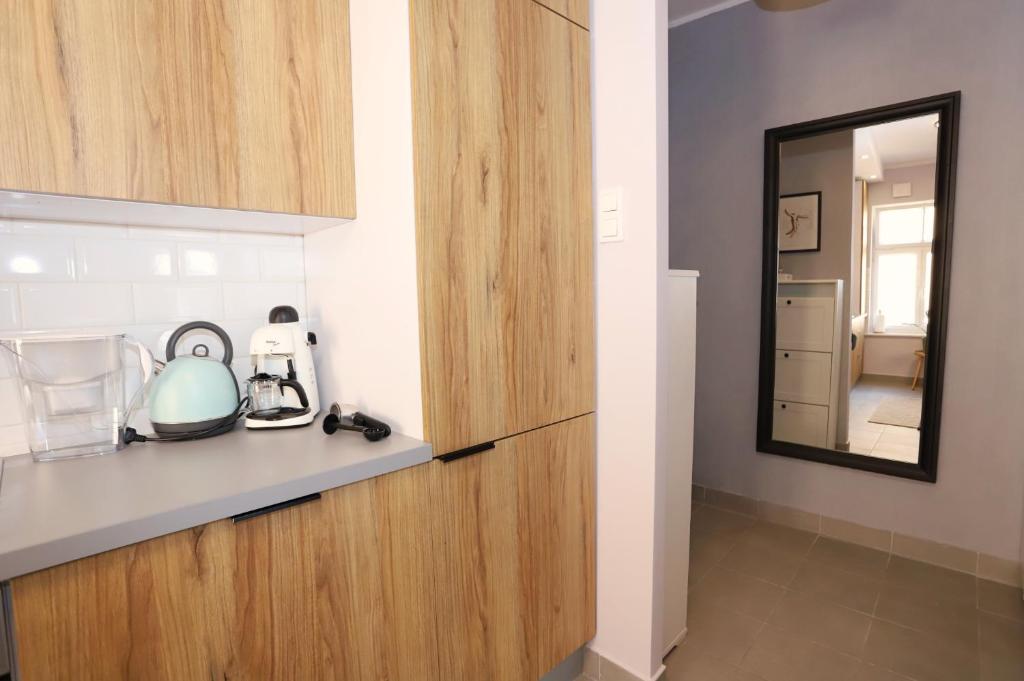Kuchyň nebo kuchyňský kout v ubytování Apartament Sudeckie Boho