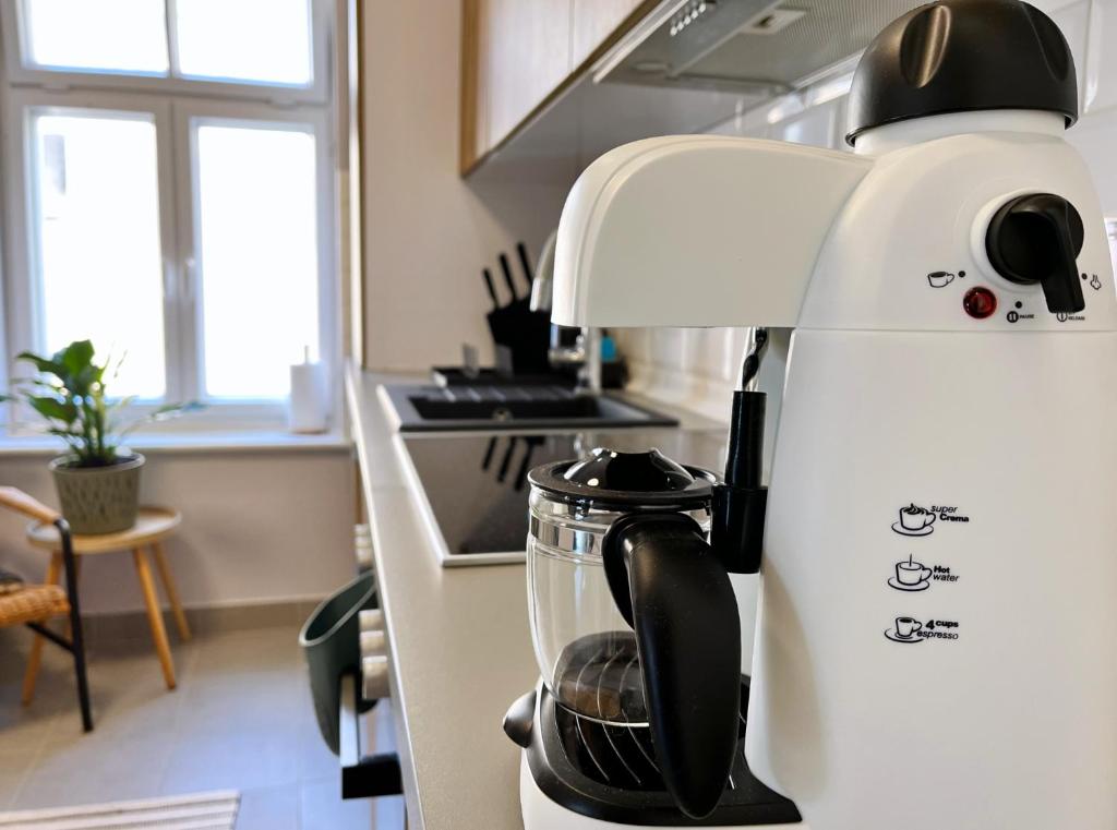 Kuchyň nebo kuchyňský kout v ubytování Apartament Sudeckie Boho