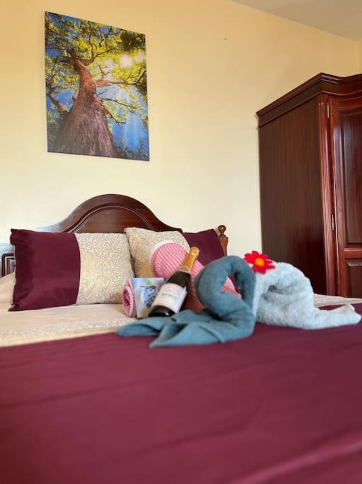 a stuffed animal laying on top of a bed at El Atardecer del Norte in Salão