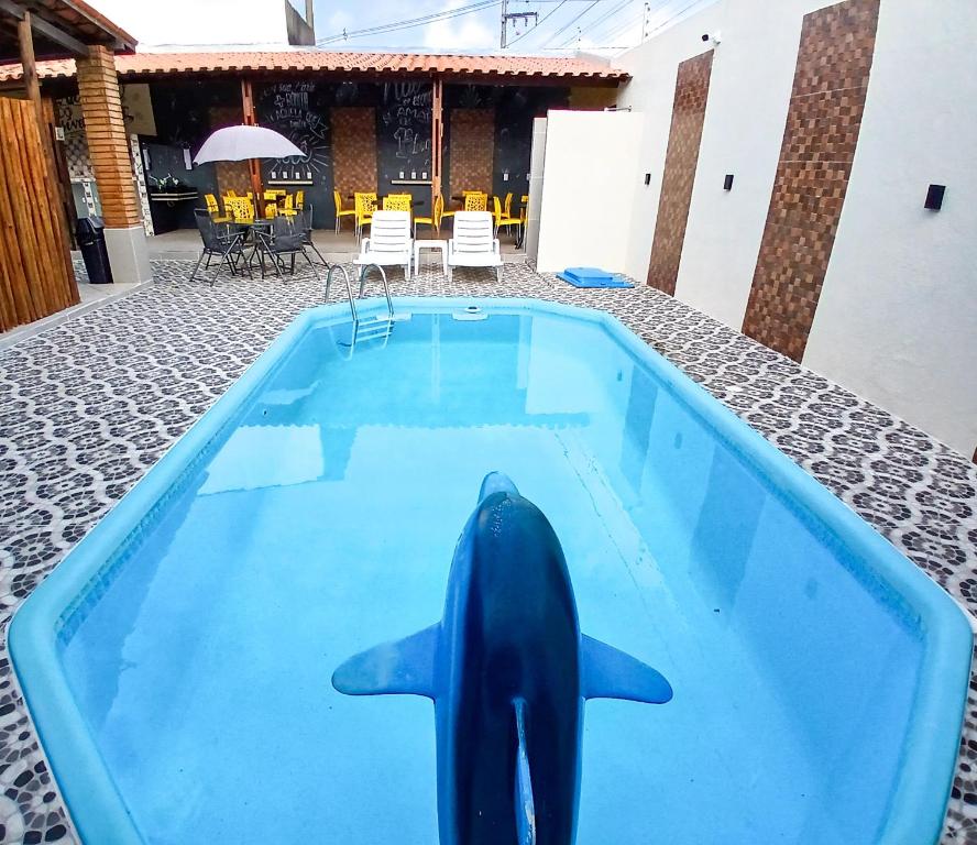 a dolphin swimming in a swimming pool at Pousada Recanto do Frances - Praia do Frances in Praia do Frances
