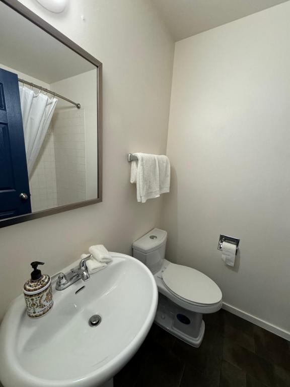 Commercial Hotel - Resim 45