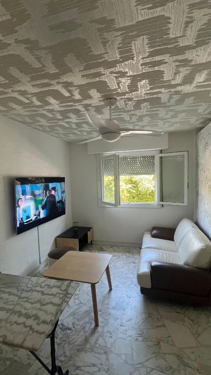 un salon avec un canapé et une télévision dans l'établissement Appartement studio Cannes, à Cannes