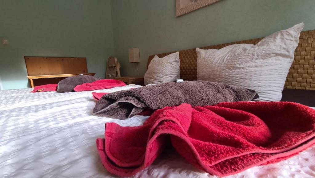 Ferienwohnungen Am Bühlwald - Appartement 1 Chambre