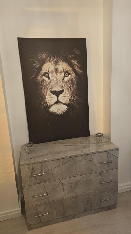 une peinture d'un lion sur une commode dans l'établissement Nice GARE SNCF hyper centre 2 pieces tout confort, à Nice