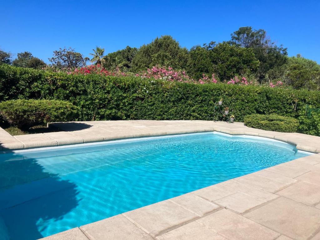 une piscine avec de l'eau bleue dans une cour dans l'établissement Studio avec piscine Ruppione, à Pietrosella
