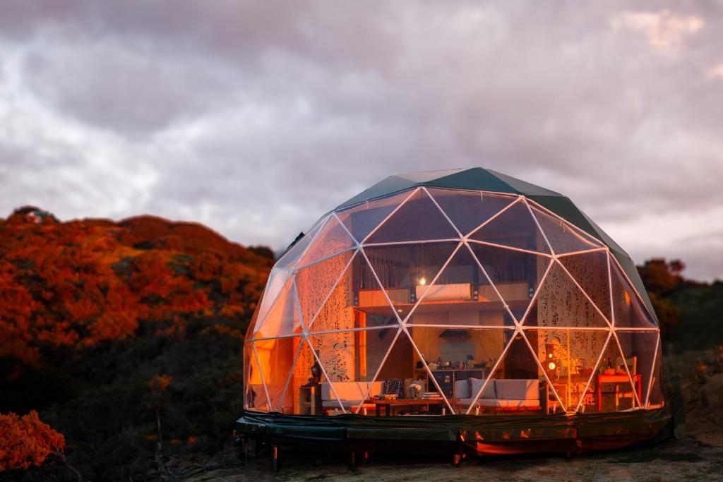 Fotografie z fotogalerie ubytování Escarpment Domes v destinaci Porirua