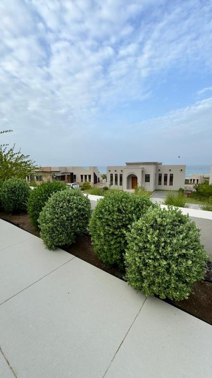 Zahrada ubytování Escape Villa