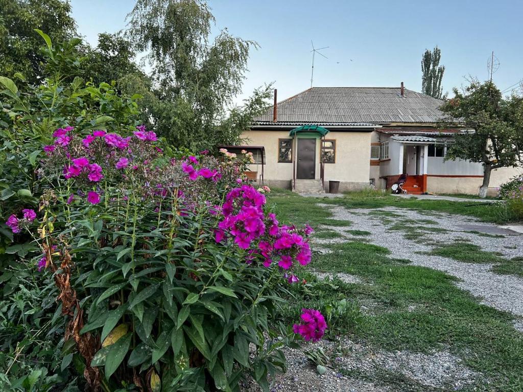 a house with purple flowers in front of a yard at Bulak - Kyrgyz Family Hostel in Karakol
