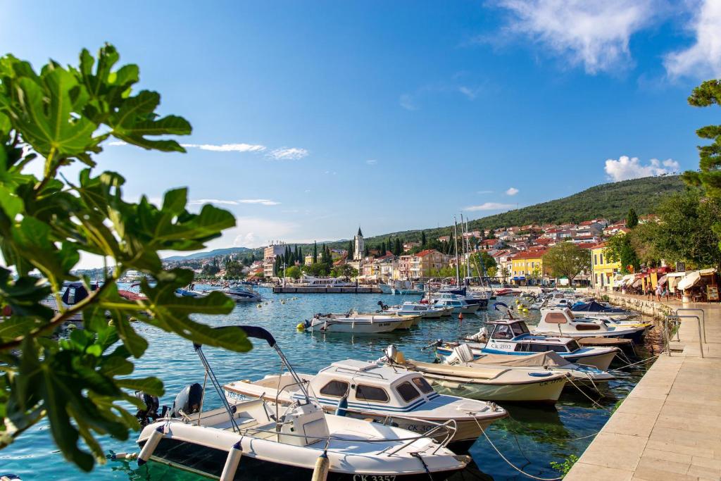 Příroda nedaleko apartmánu