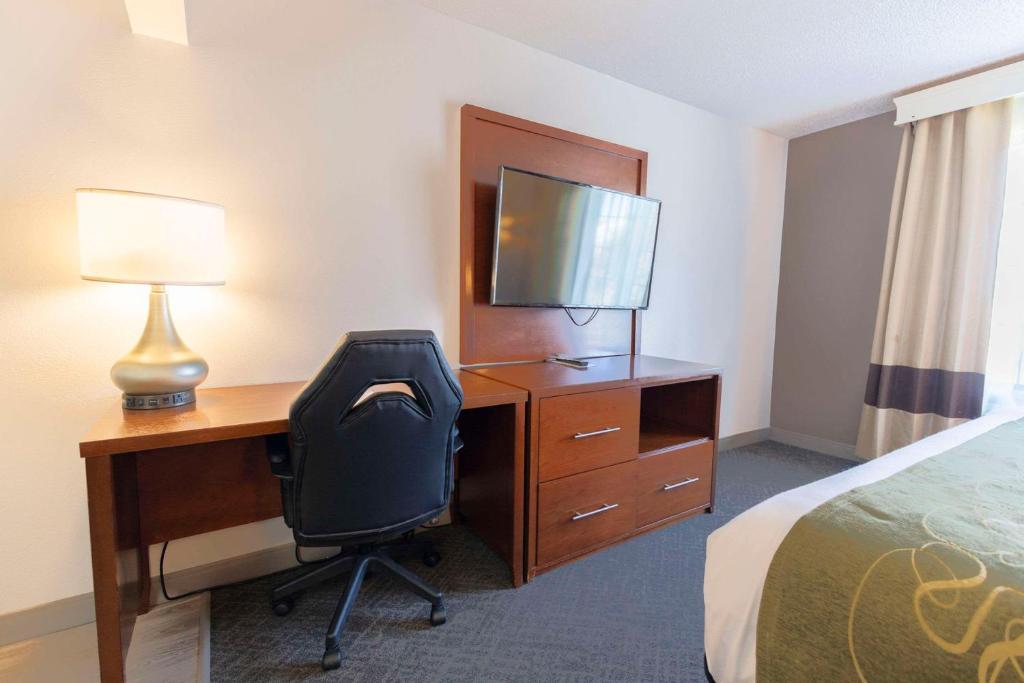 Comfort Suites Springfield I-70 - Standard King Suite - Non-Smoking