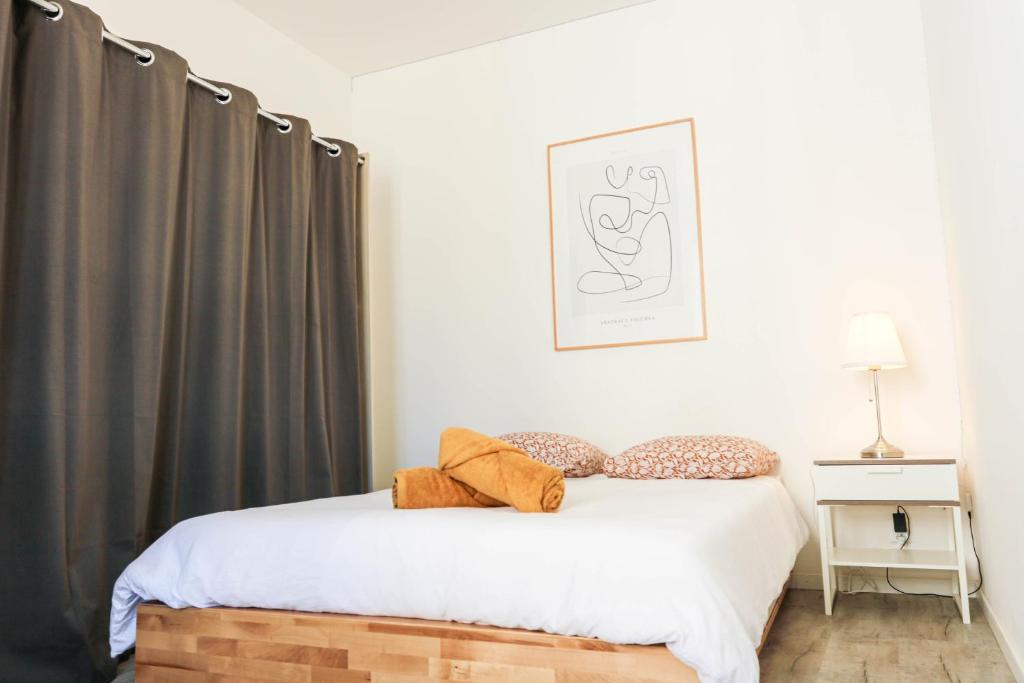 a bedroom with a bed with a black curtain at Bel appartement moderne à Villeurbanne in Villeurbanne
