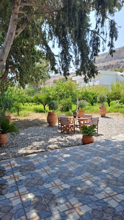 A garden outside Déjà Blue