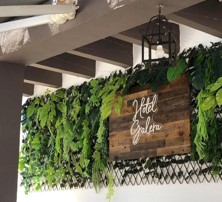 Certifikát, hodnocení, plakát nebo jiný dokument vystavený v ubytování Hotel Galera