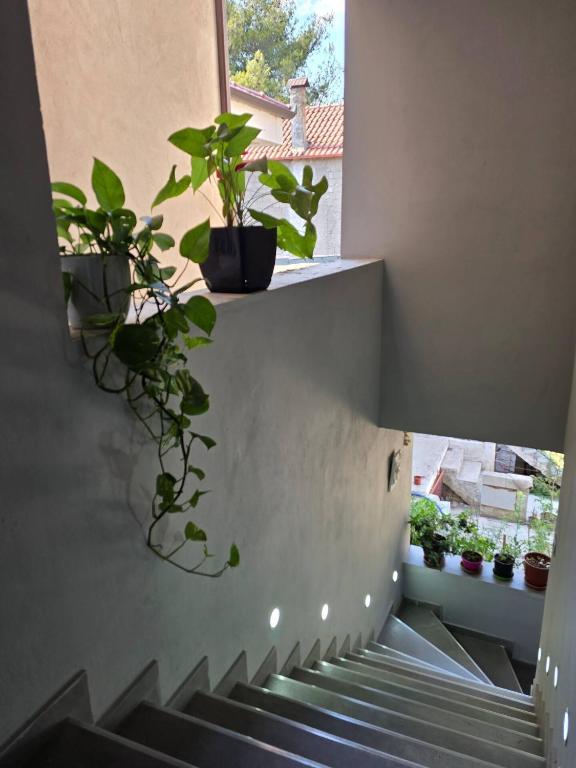 Fotografie z fotogalerie ubytování Duka Apartment v destinaci Librazhet