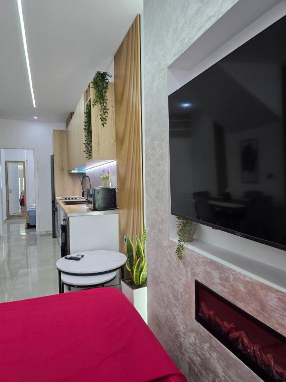 Kuchyň nebo kuchyňský kout v ubytování Duka Apartment