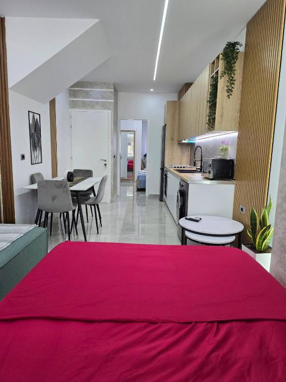 Kuchyň nebo kuchyňský kout v ubytování Duka Apartment