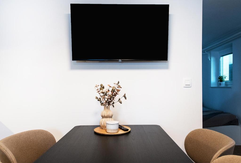 TV a/nebo společenská místnost v ubytování Mojca's nest apartment