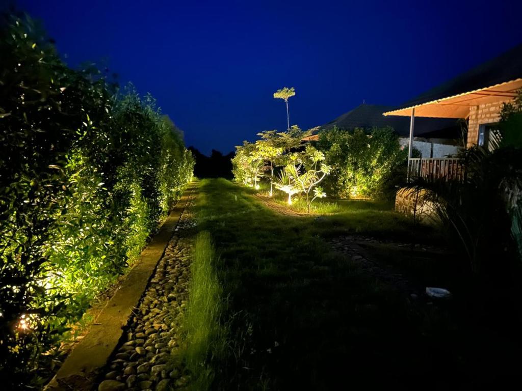 Zahrada ubytování Jawai's Wildness Lodge