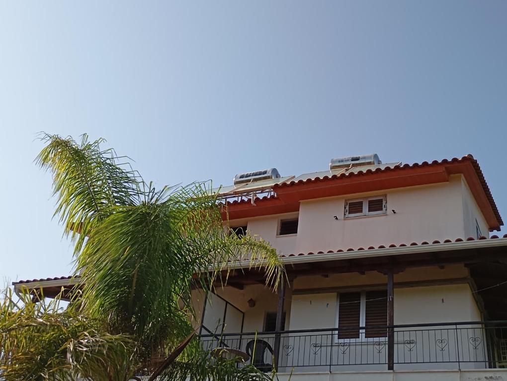 a house with a palm tree in front of it at THE PALM ROOMs in Preveza