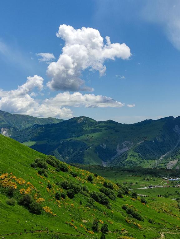 Příroda nedaleko apartmánu