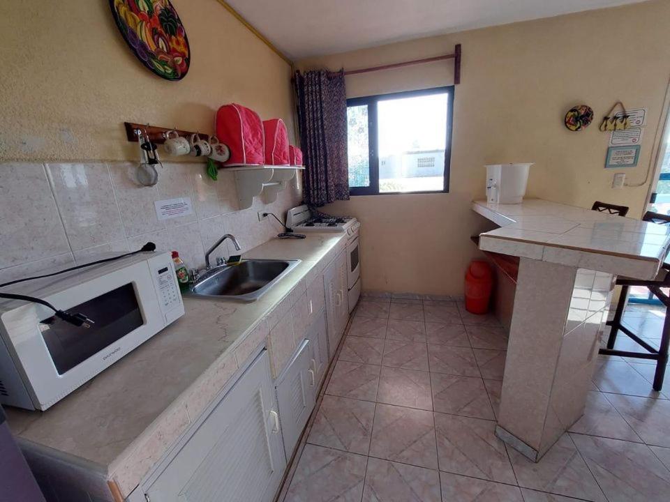 Kuchyň nebo kuchyňský kout v ubytování Hotel Maria's Nicte Ha