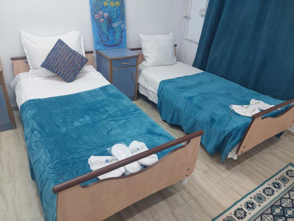two beds in a room with blue sheets at Casa Emilia Ana Maria in Recaş