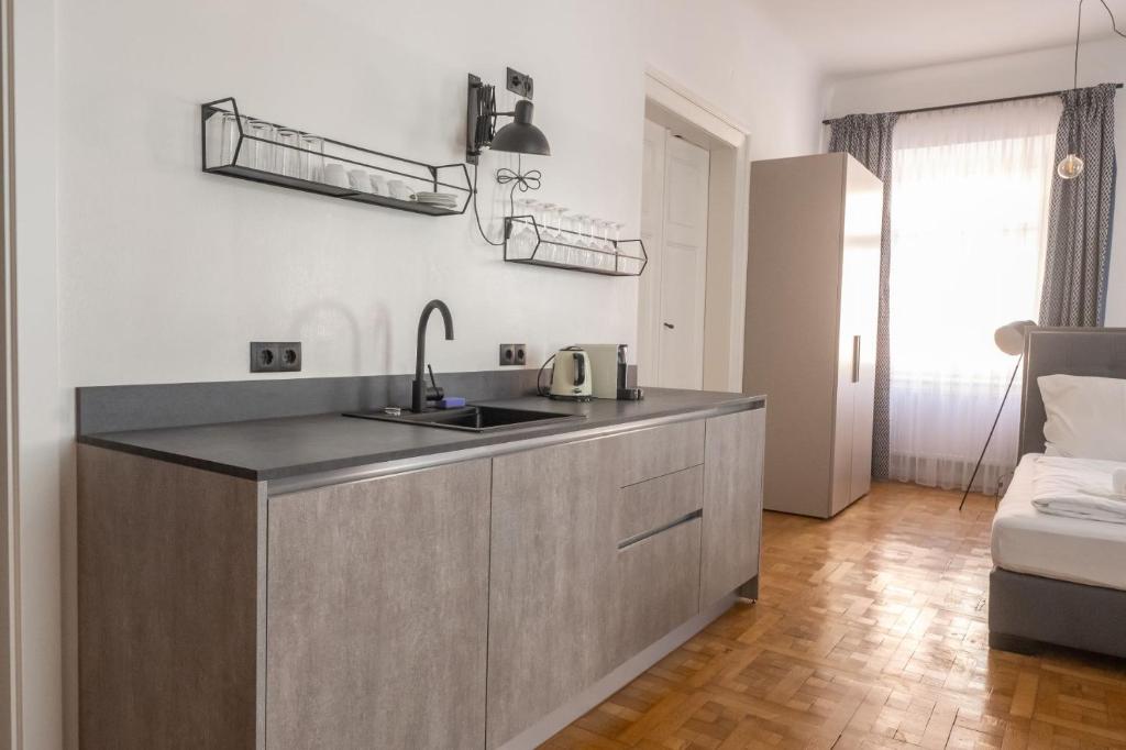 Kuchyň nebo kuchyňský kout v ubytování Designer Boutique Apartments Graz Trauttmansdorffgasse