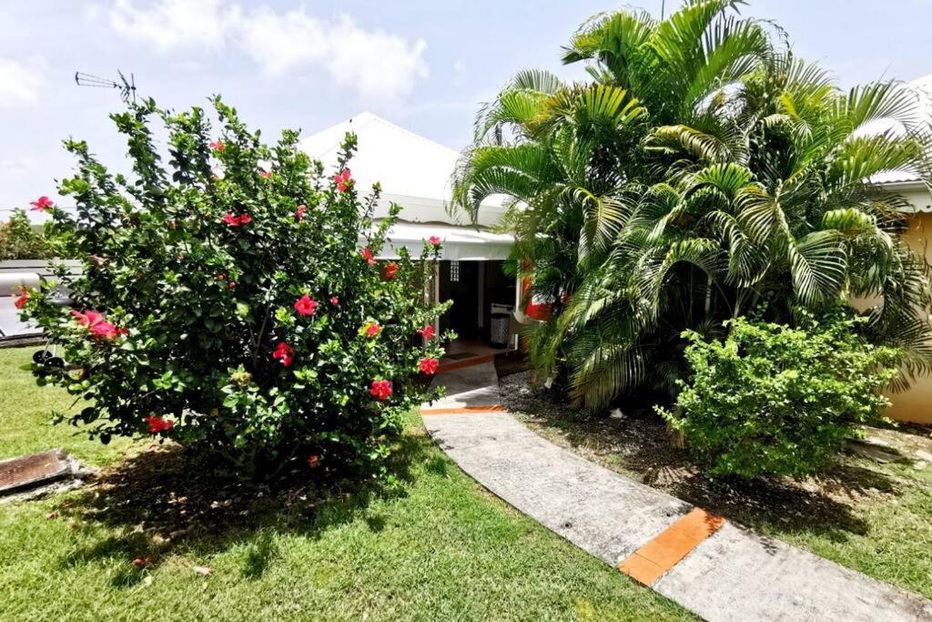 dois arbustos com flores vermelhas em frente a uma casa em Bungalow colombo résidence Ti-Figues em Saint-François