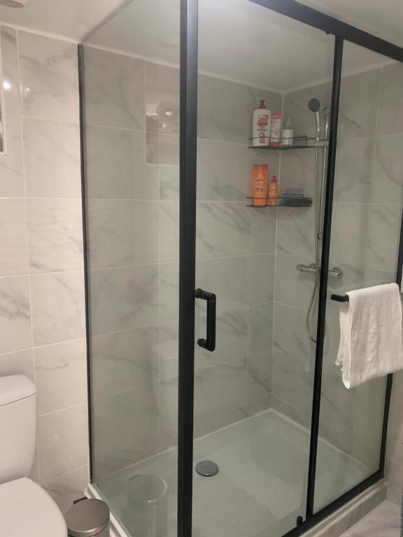a shower with a glass door in a bathroom at Appartement in Saint-Martin-de-Valgalgues