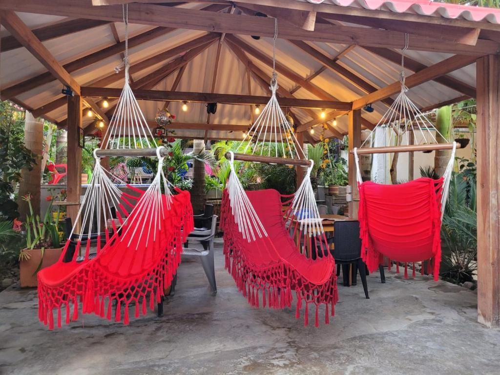 Foto sihtkohas Salento asuva majutusasutuse Hostal Hilltop Salento galeriist