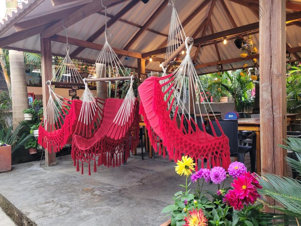 Foto sihtkohas Salento asuva majutusasutuse Hostal Hilltop Salento galeriist