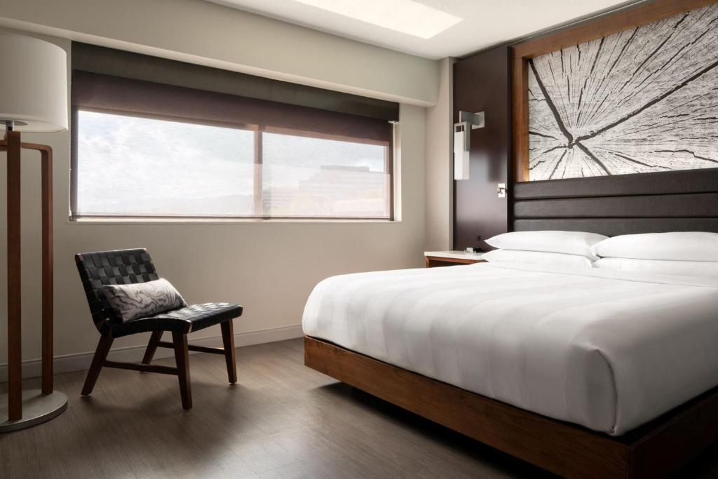 Walnut Creek Marriott - King Room - Audizione Accessibile