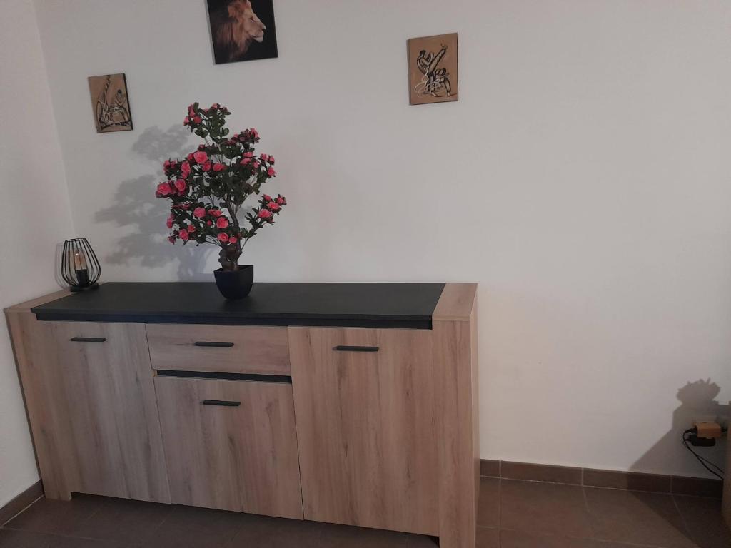 Fotografie z fotogalerie ubytování Appartement agréable dans résidence calme avec Wifi v destinaci Baie-Mahault