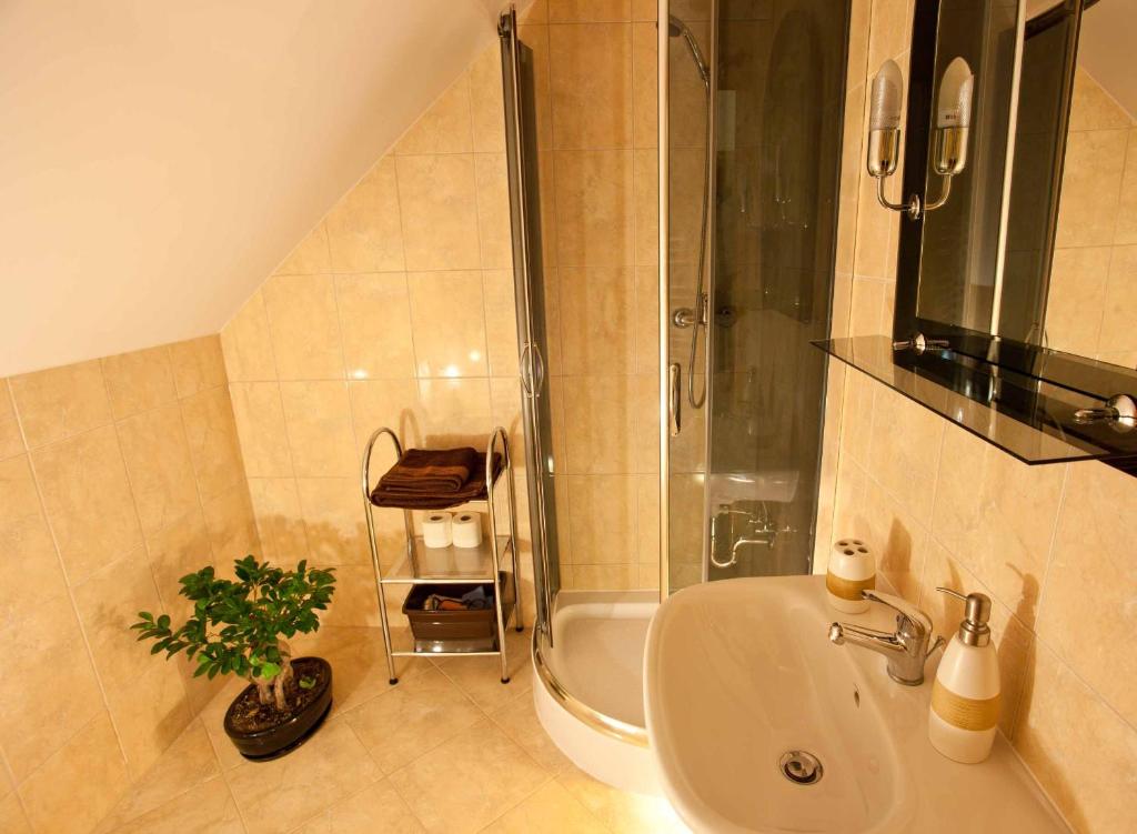 Dom Gościnny Borsuczyna - 12