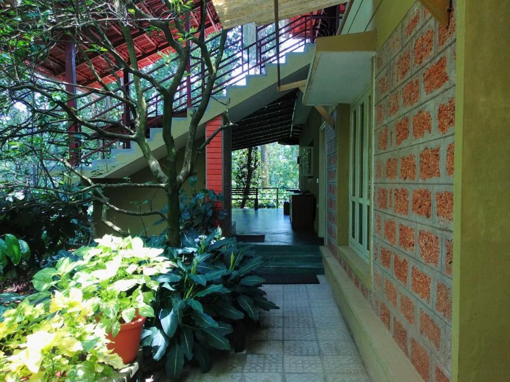 Zahrada ubytování Heights Farm Stay - Coffee Estate Stay