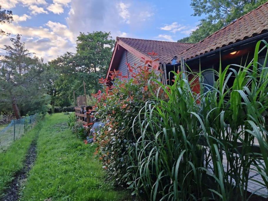 Κήπος έξω από το Chalet proche du lac