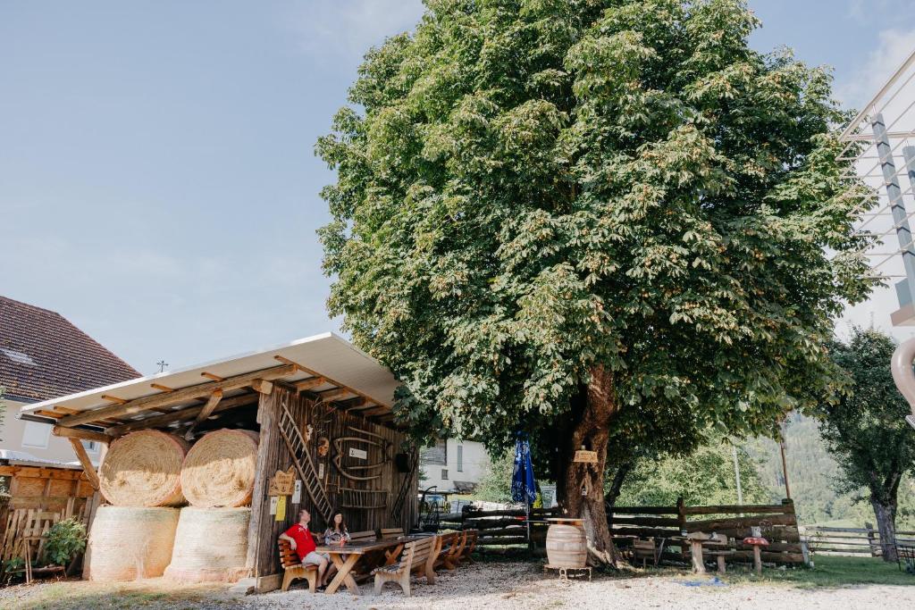 Fotografie z fotogalerie ubytování Andis Reiterstüberl, Rainweg 1 , 9311 Überfeld v destinaci Sankt Veit an der Glan