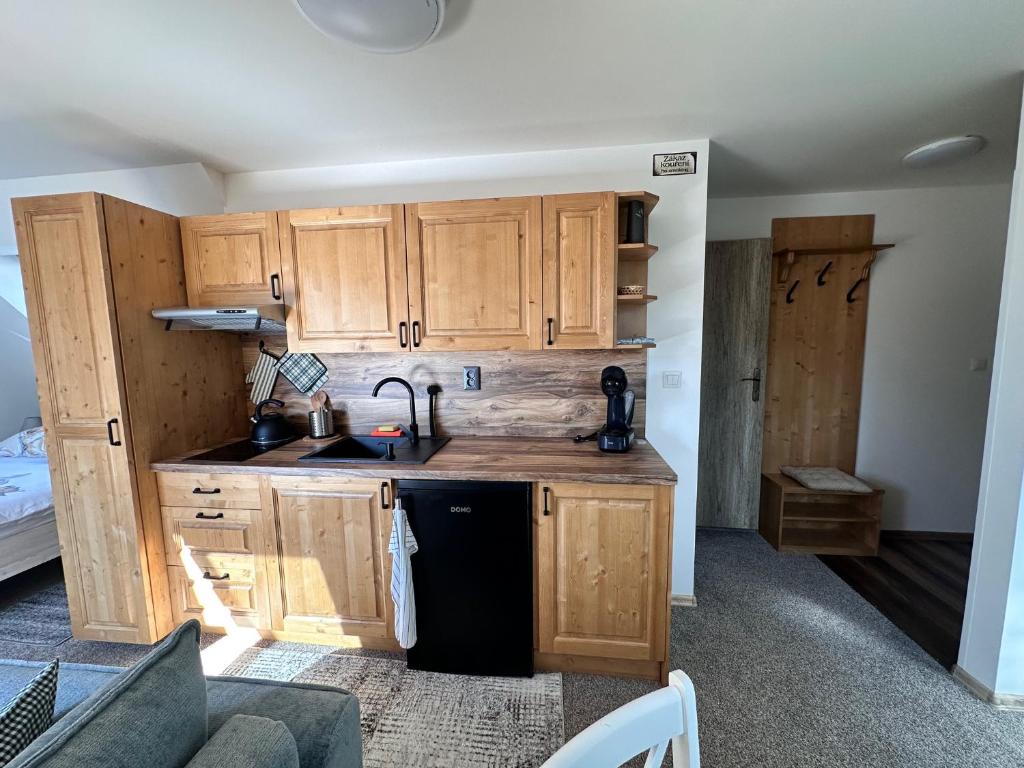 Kuchyň nebo kuchyňský kout v ubytování Apartmány Hanička