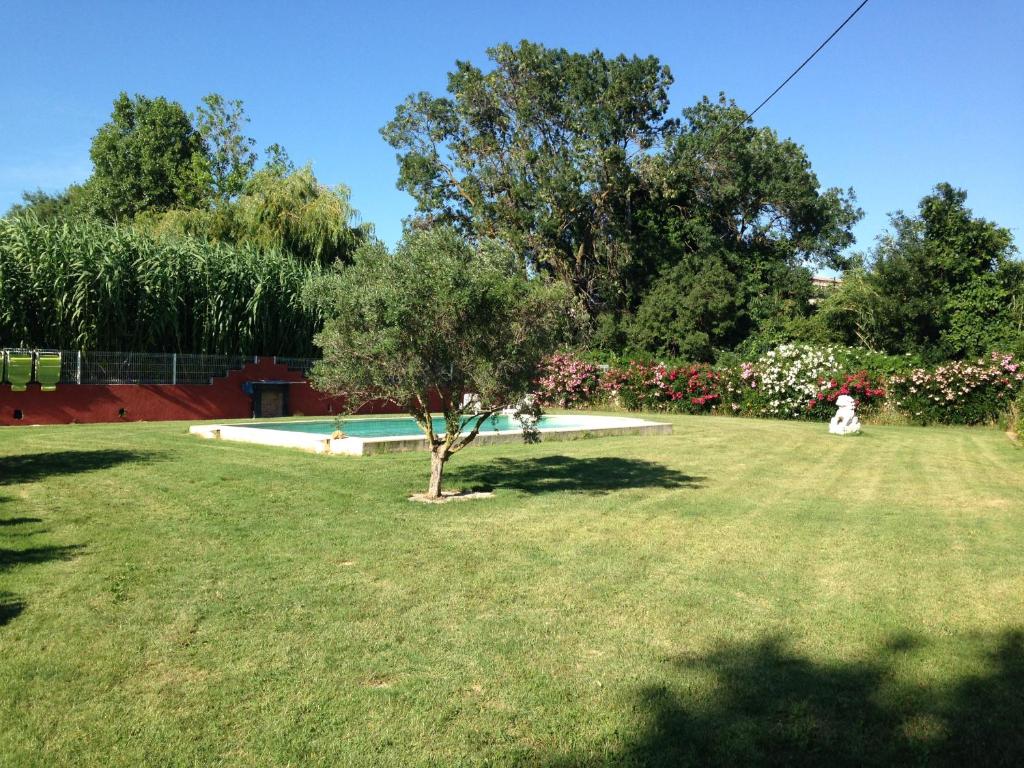 un parque con un árbol en medio de un patio en Les Jardins du Rebaut, en Béziers