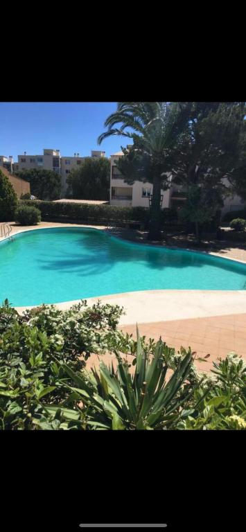 une piscine bleue avec un palmier en arrière-plan dans l'établissement La Bandolaise, studio 25m2, à Bandol
