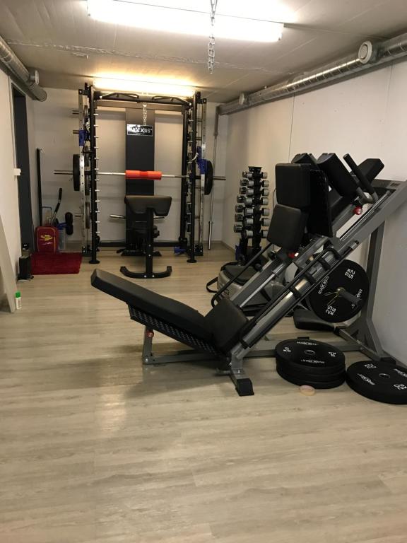 Fitness centrum a/nebo fitness zařízení v ubytování Luxurious Penthouse Apartment