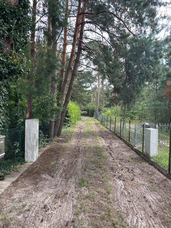 Fotografie z fotogalerie ubytování Haus Waldidyll am Briesensee v destinaci Neu Zauche