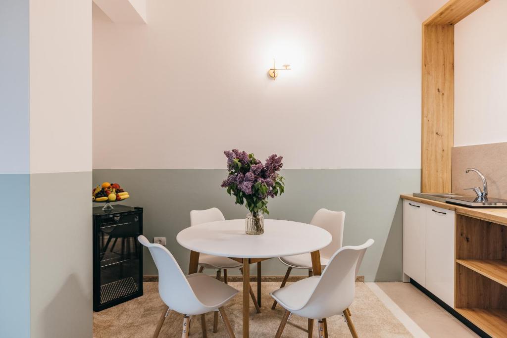 HOTEL AGORA Mures - Resim 19