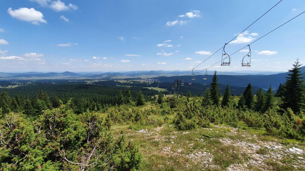 Příroda nedaleko apartmánu