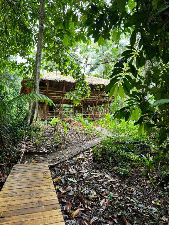 Zahrada ubytování Madre Selva Eco Lodge