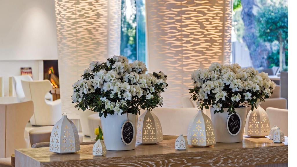 Гостиная зона в Alasia Boutique Hotel